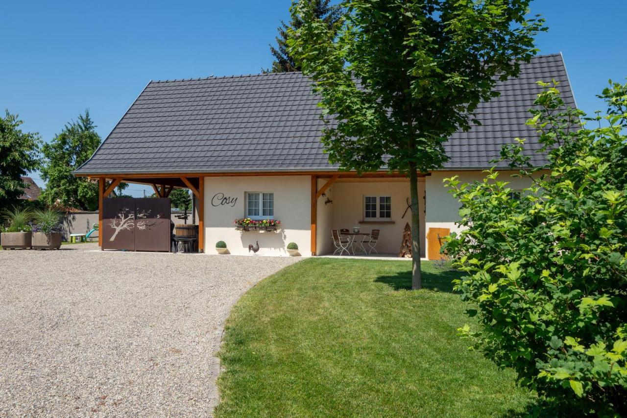 Gîtes L'Ecrin du Ried Alsace Artolsheim Extérieur photo